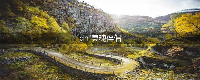 DNF手游灵魂伴侣雷电属性介绍一览(dnf灵魂伴侣)