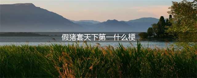 DNF假猪套天下第一什么梗 假猪套天下第一是从哪出来的梗(假猪套天下第一什么梗)