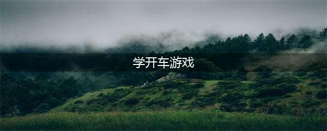 学车必玩游戏有哪些2021 经典学车模拟游戏排行榜合集推荐(学开车游戏)