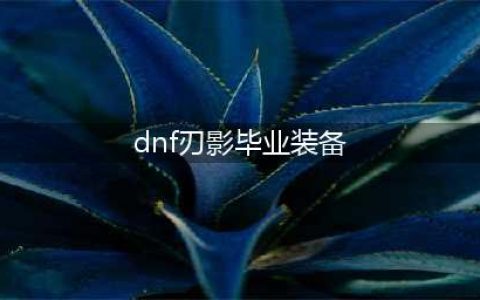 dnf刃影毕业装备选择(dnf刃影毕业装备)