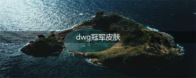 英雄联盟DWG冠军皮肤怎么样 冠军皮肤分析(dwg冠军皮肤)