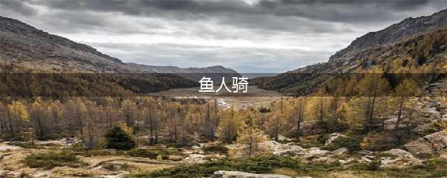 《炉石传说》狂野鱼人骑2021最佳搭配 狂野鱼人骑卡牌组合分享(鱼人骑)
