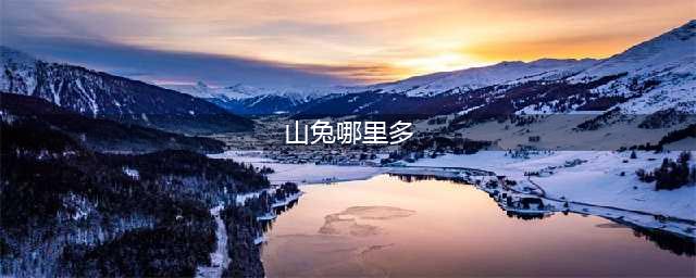 《阴阳师》山兔哪里刷比较多 山兔最佳刷取地点介绍(山兔哪里多)