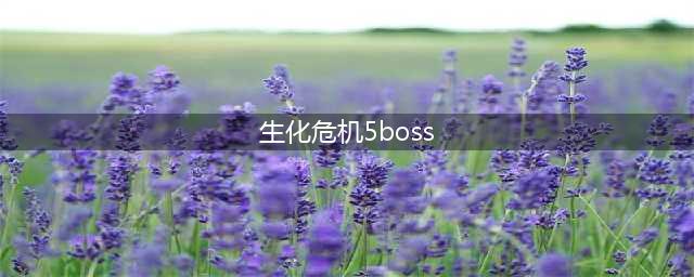 生化危机5怎么快速打败最终BOSS BOSS快速打法攻略(生化危机5boss)