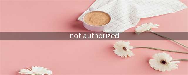 《绝地求生》not authorized什么意思 解决方法介绍(not authorized)