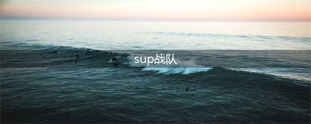 《LOL》S10总决赛SUP战队成员有哪些 SUP战队成员资料一览(sup战队)