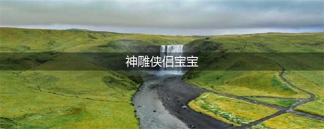 《神雕侠侣2》手游宠物宝宝怎么选择 宠物选择攻略(神雕侠侣宝宝)