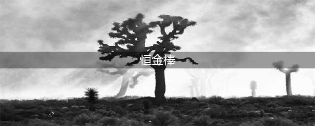魔兽世界符文恒金棒怎么获得(恒金棒)