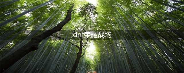 DNF心悦荣耀战场成就点怎么获取(dnf荣耀战场)