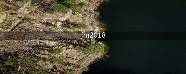 《FM2018（足球经理2018）》世界杯巴拿马核心球员能力介绍(fm2018)