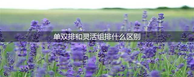 lol单双排跟灵活排的区别是什么 单双排和灵活组排哪个好打(单双排和灵活组排什么区别)