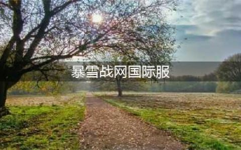战网国际服帐号注册教程 Blizzard暴雪国际服怎么注册(暴雪战网国际服)
