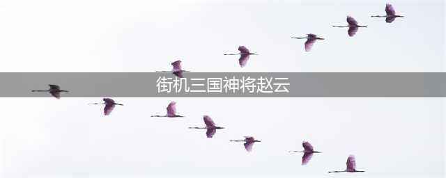 《神将三国》赵云阵容怎么搭配 赵云最强阵容搭配教学(街机三国神将赵云)