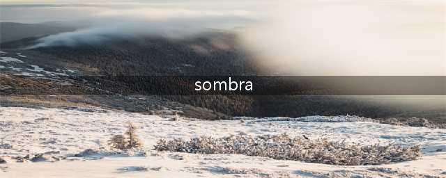 《守望先锋》sombra基础属性及技能介绍(sombra)