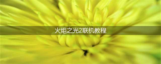 《火炬之光2》怎么联机 联机方法介绍(火炬之光2联机教程)