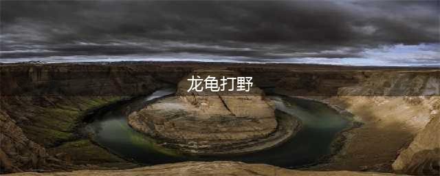 《LOL》11.5龙龟打野怎么玩 龙龟打野玩法上分攻略(龙龟打野)
