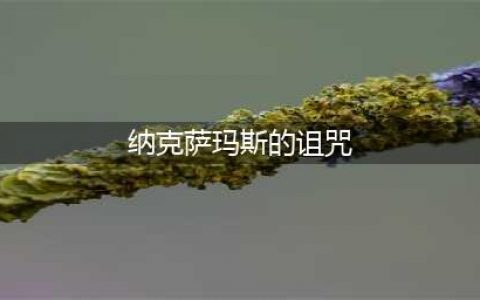 《炉石传说》纳克萨玛斯的诅咒背景是什么 卡牌背景故事分享(纳克萨玛斯的诅咒)