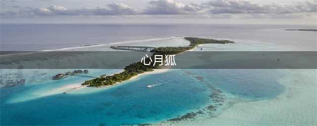 《梦幻新诛仙》心月狐怎么加点 心月狐属性加点打书攻略(心月狐)