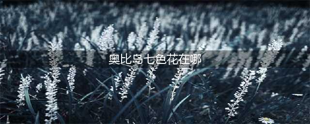 《奥比岛手游》七色花在哪里 七色花位置介绍(奥比岛七色花在哪)