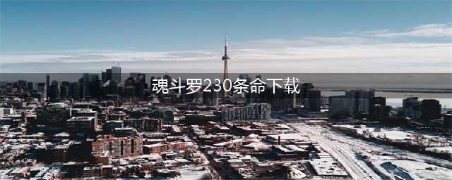 《魂斗罗2代30条命》nes下载 魂斗罗2代30条命手机版下载安装(魂斗罗230条命下载)