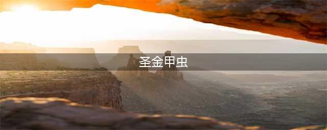 《LOL》圣金甲虫拉莫斯新皮肤多少钱 圣金甲虫拉莫斯新皮肤价格分享(圣金甲虫)