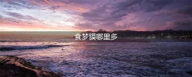 《阴阳师》食梦貘哪里多 食梦貘最全分布位置(食梦貘哪里多)