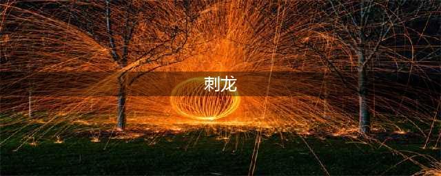 《宝可梦剑盾》铠之孤岛刺龙王怎么样 刺龙王属性图鉴(刺龙)