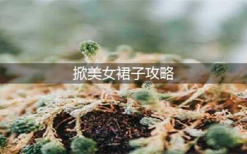 《电子女孩》掀裙子结局图文全攻略 掀裙子结局是什么(掀美女裙子攻略)