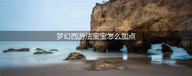 《梦幻西游三维版》宠物怎么加点 宝宝加点方案大全一览(梦幻西游法宝宝怎么加点)