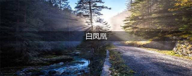 《剑与远征》白嫖白凤凰攻略 怎么免费获得白凤凰(白凤凰)