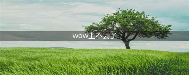 《魔兽世界怀旧服》游戏进不去怎么办 游戏进不去解决方法分享(wow上不去了)