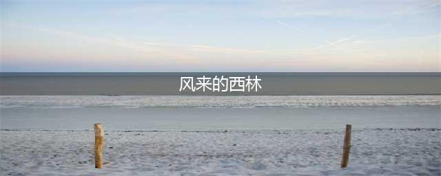 风来的西林5风暴森林图文教程(风来的西林)