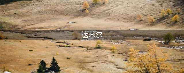 《地铁逃离》怎么留住达米尔 达米尔留住方法分享(达米尔)