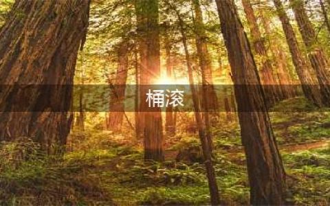 《狂野飙车9》滚桶特技怎么做 滚桶特技技巧方法(桶滚)