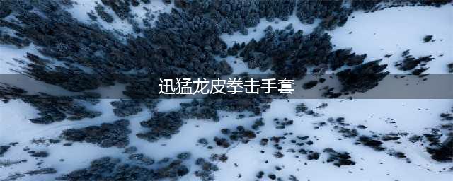 《魔兽世界》怀旧服迅猛龙皮背心获取方法 迅猛龙皮背心怎么得(迅猛龙皮拳击手套)