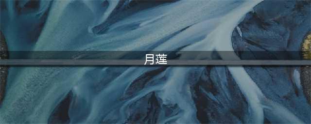 原神月莲在哪里采集 月莲采集路线