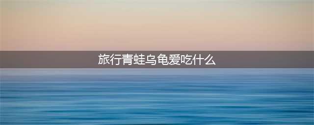 《旅行青蛙》乌龟喜欢什么