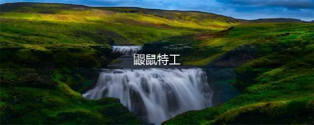 《崩坏星穹铁道》鼹鼠特工队任务攻略一览
