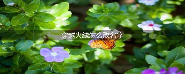 穿越火线怎么改名字