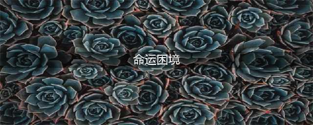 剑与远征命运困境1怎么过 命运困境1通关攻略