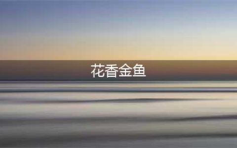《摩尔庄园手游》花香金鱼怎么制作 花香金鱼制作方法