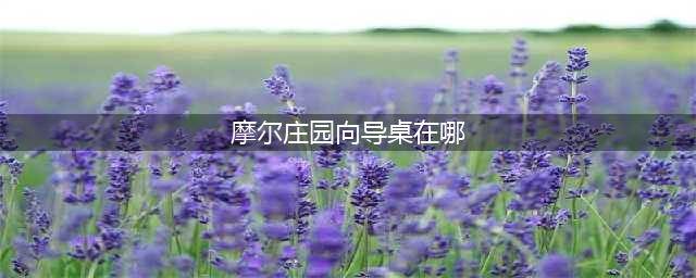 摩尔庄园手游向导桌在哪里领 领取地点分享