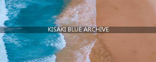 KisakiBlueArchive好玩吗 KisakiBlueArchive玩法简介