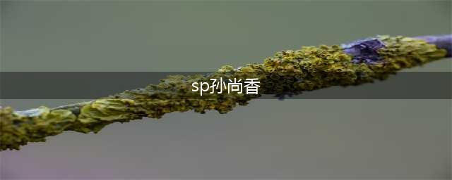 三国志幻想大陆sp孙尚香女团解析