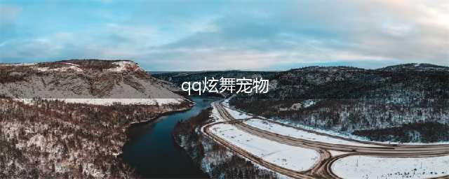 《qq炫舞手游》哪个宠物好