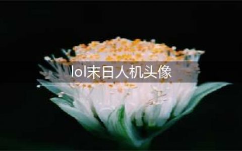 LOL末日人机头像领取方法 英雄联盟末日人机头像怎么获得