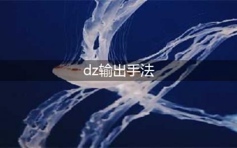 《魔兽世界》怀旧服盗贼怎么玩 盗贼的输出技巧教学(dz输出手法)