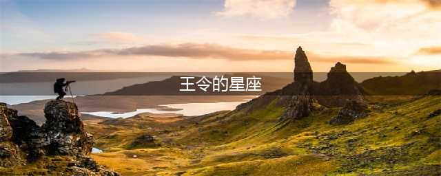 小浣熊百将传王令的星座是什么(王令的星座)