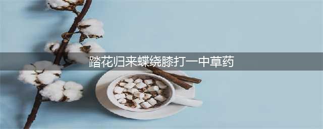 食物语踏花回来蝶绕膝答案是什么 踏花归来蝶绕膝答案分享(踏花归来蝶绕膝打一中草药)
