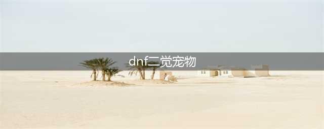 《dnf》全职业二觉宠物大全 全职业二觉宠物有哪些(dnf二觉宠物)